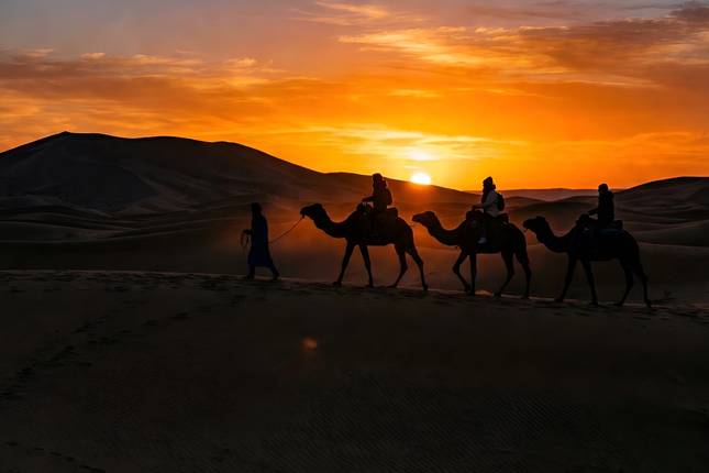 20 jours de voyage au Maroc : Désert, Atlas, villes impériales et côte atlantique