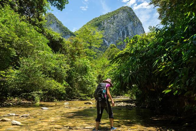Wild Sarawak