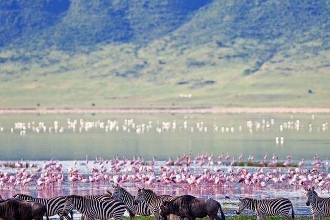 2 Day Tanzania Lodge Safari to Lake Manyara & Ngorongoro Crater
