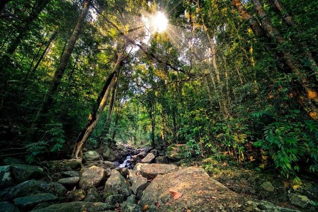 Vivacious Sri Lanka, Private Tour