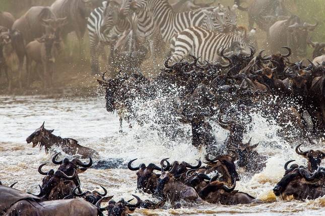 5 Days Hell's Gate, Lake Naivasha, Lake Nakuru & Masai Mara Mid-Range Lodge Safari