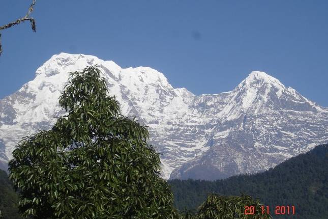 Australian Camp Panorama Trek 7 Days