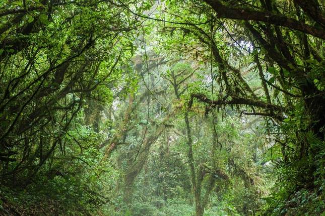Costa Rica Highlights, 10 days