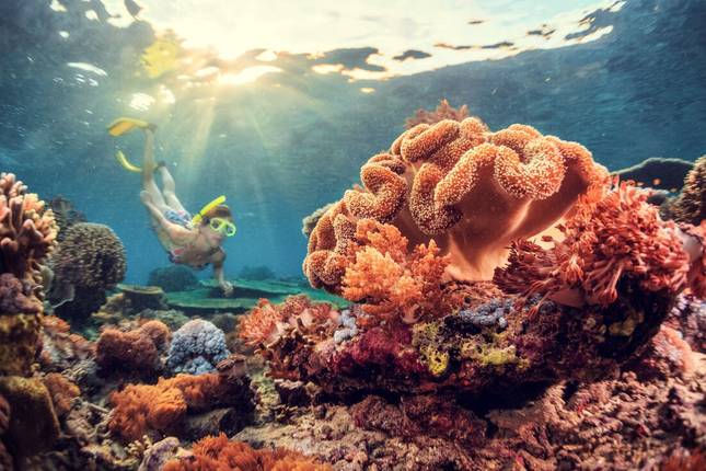 Indonesia: Highlights of Java