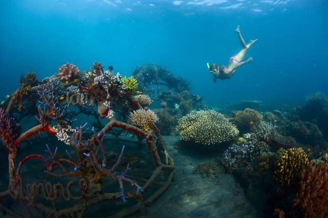 Bangkok to Bali (26 destinations)