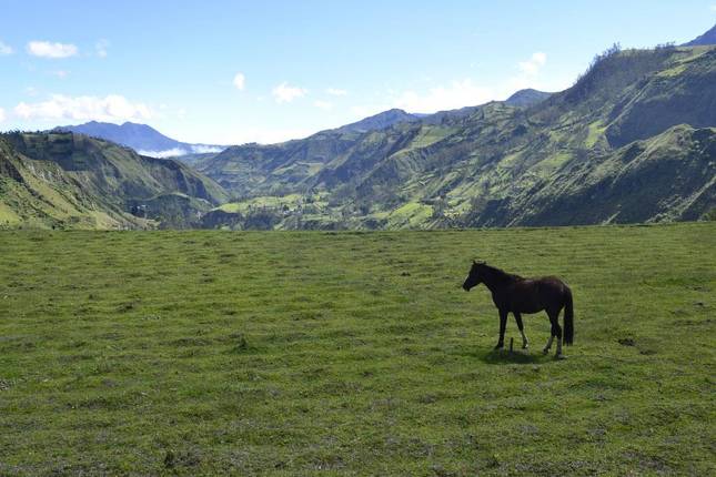 Natural Ecuador Adventure 7D/6N