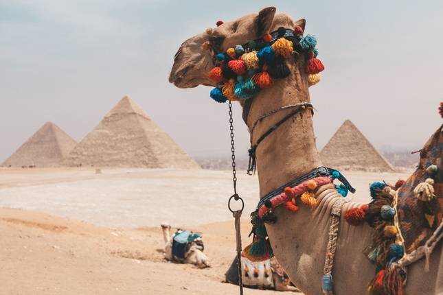 "TUT Honey Moon Tour" 8 Days from Cairo (Cairo, Luxor Nile Cruise, Aswan, Abu Simbel, Hot Air Balloon & More....)