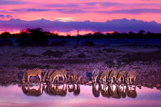 Etosha - 19 Day Adventure Tour