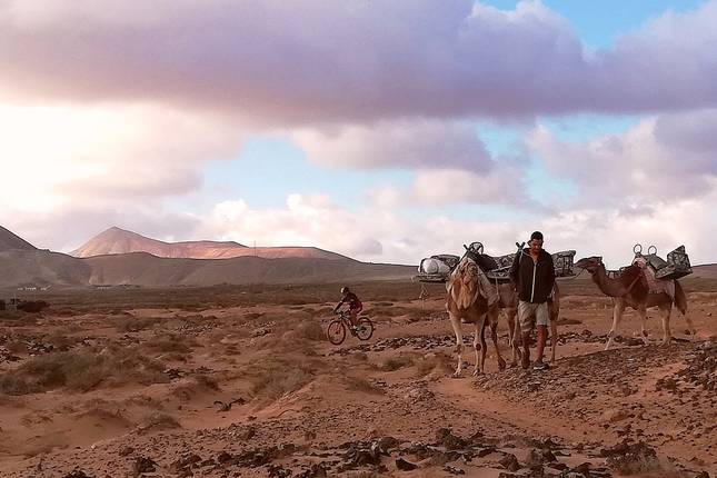 Fuerte Tracks MTB - Die Vielfalt der Wüsteninsel erleben (8 Tage)