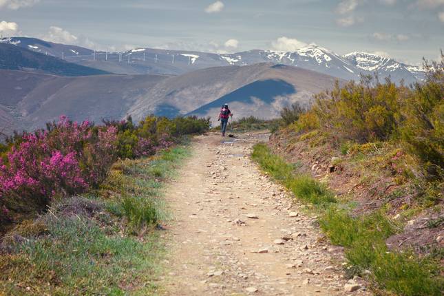 Camino de Santiago - French Way: Total Distance St.Jean Santiago (36 days)