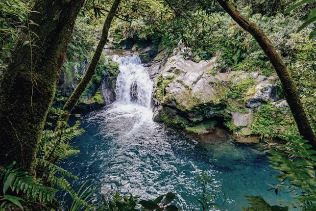 Silvetser in Andalusia (14 days)