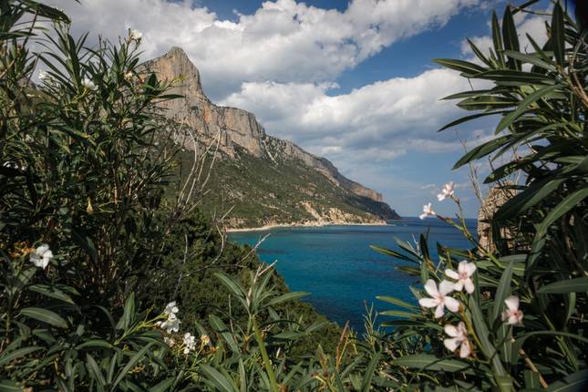 Hike Sardinia in 8 Days