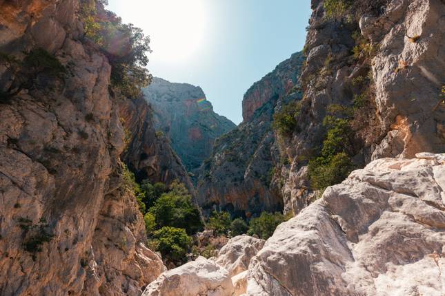 Hike Sardinia in 8 Days