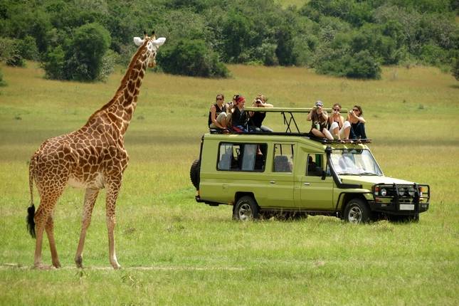 3days Masai Mara Lodge Safari with a 4x4 Land Cruiser Jeep - Luxury