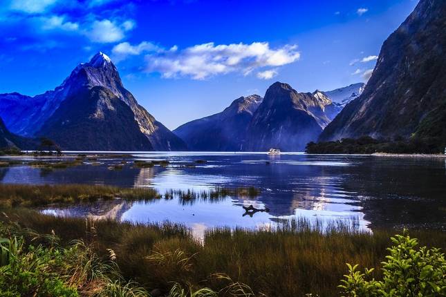 Essence of New Zealand (Small Groups)