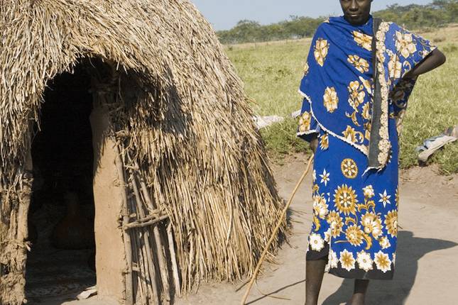 Wildlife of Western Uganda Safari