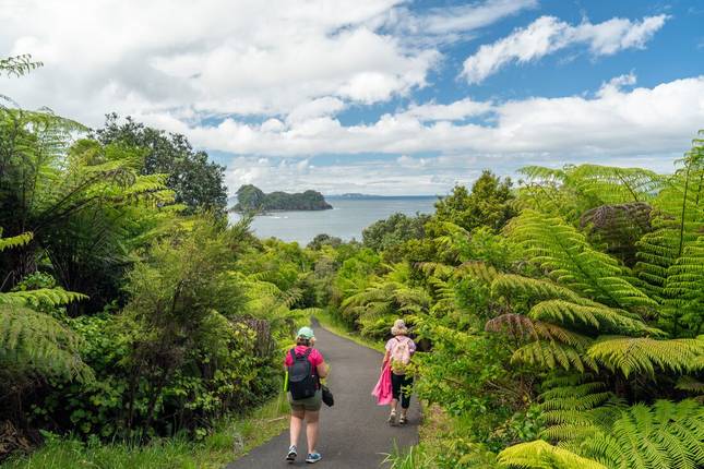 New Zealand Northern Trail (Southbound) (16 destinations)