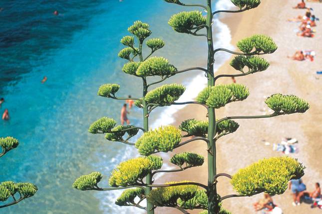 The Dalmatian Coast: Croatia, Corfu & Medieval Cities