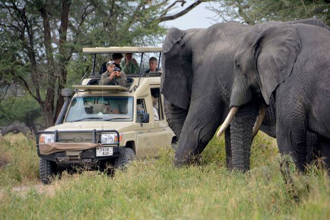 12 Days Kenya & Tanzania Combo Big  Five Safari