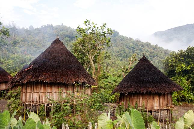 Goroka Highlands Journey – Trans Niugini Tours