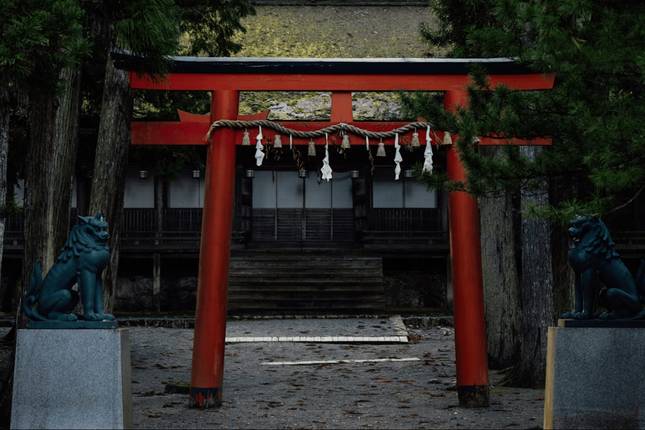 Spirit of Japan 14D/13N