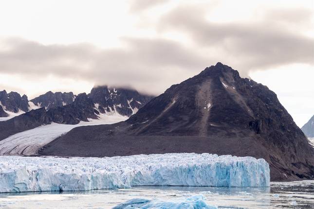 Wild Wonders of the Arctic - 8 days