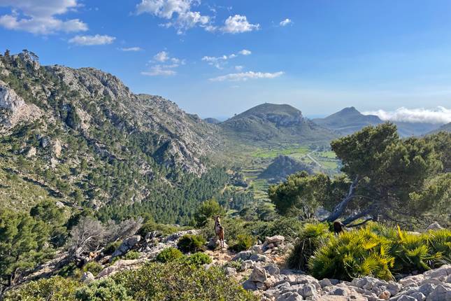 Mallorca - on the GR221 (9 days)