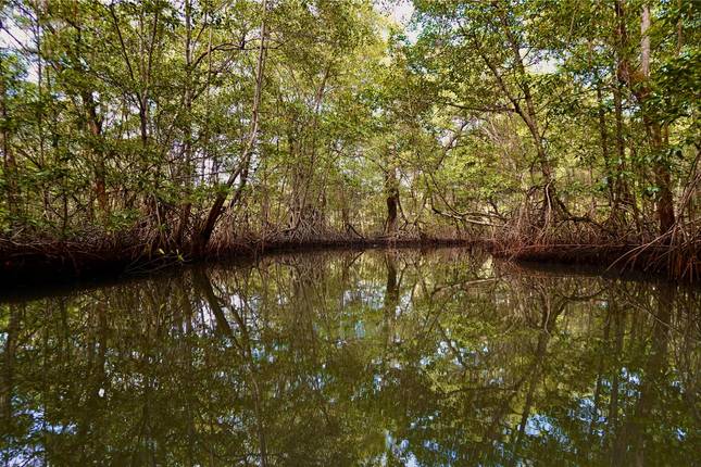 Panama North to South Adventure 6D/5N