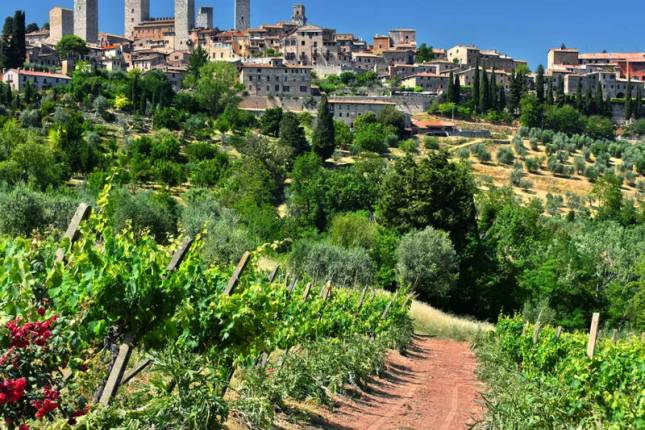 A Taste of Tuscany - Hilltop Towns and Vineyards