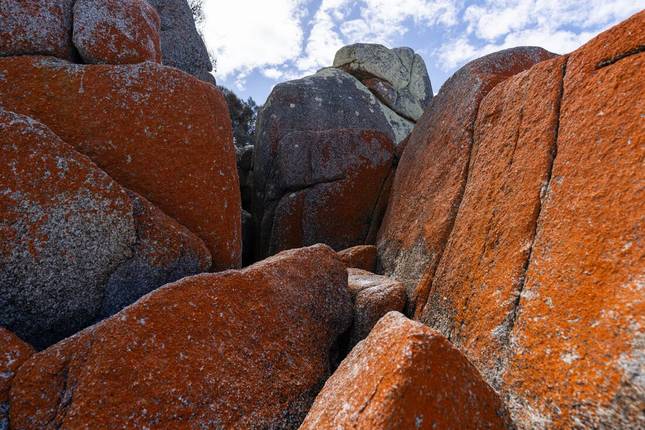 Walk Tasmania's Bay of Fires (5 destinations)
