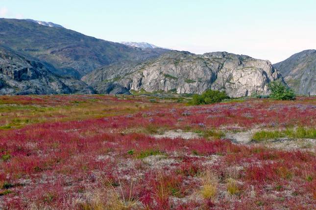 Between Icebergs and Glaciers