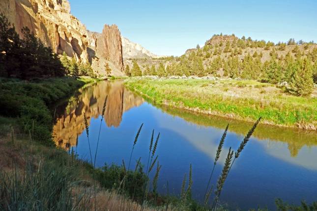 Pacific, Tree Giants and Volcanoes