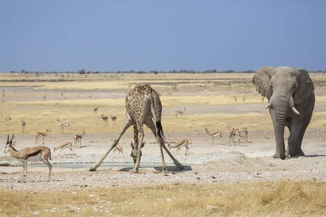 Desert, Rock Paintings and Victoria Falls (45 destinations)