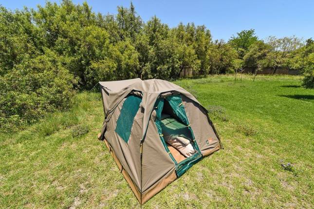 From the Cape to Windhoek as a camping safari