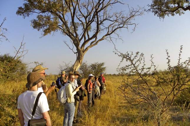 Stalking in the Savannah and in a Dugout Canoe through the Delta