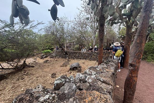 10 Days Galapagos Island Hopping | Daily Small-Group Tours