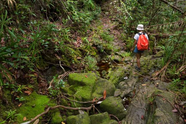 Borneo Sarawak and Sabah Discovery