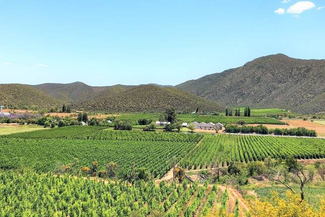 4-day Highlights of the Garden Route (Accommodated)