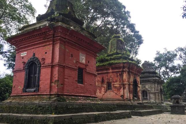 Nepal Exposed