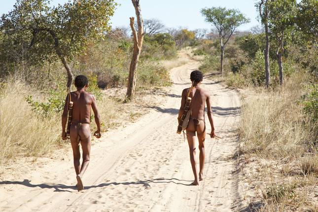 Le Cap, le Delta et les Chutes - 19 jours