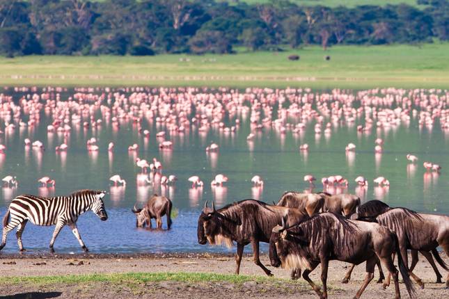 Zambia to Nairobi (Accommodated) - 21 days