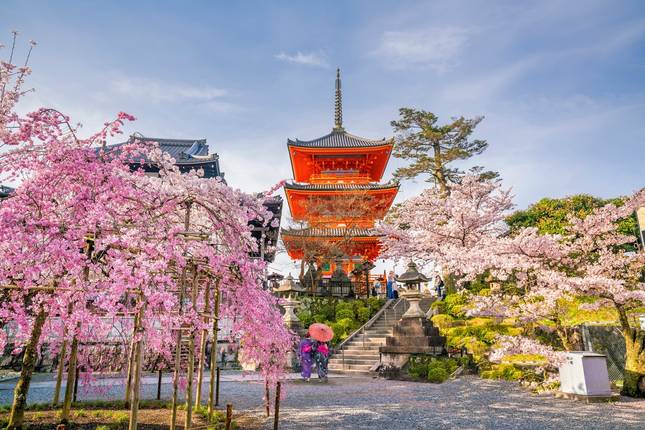 8D Splendid Japan with Nagoya(private 3 star hotel rooms)
