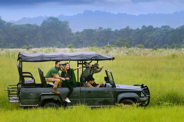 Nepal Tour- 8 days (Explore Iconic Triangle City Kathmandu, Chitwan and Pokhara)
