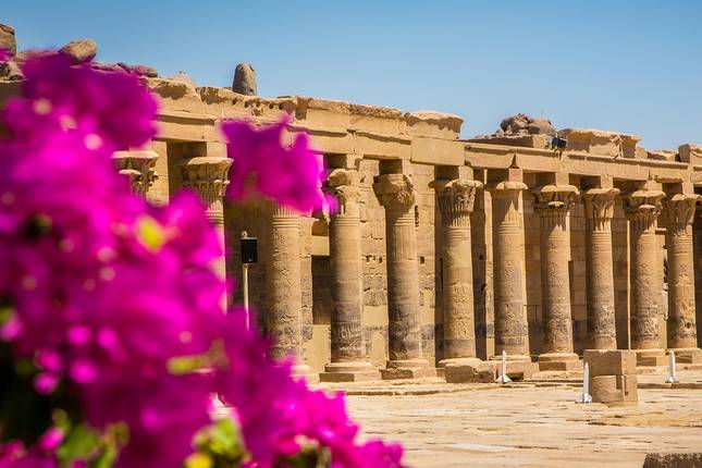 Alexandria, Ancient Egypt & Nile Cruising - 13 days