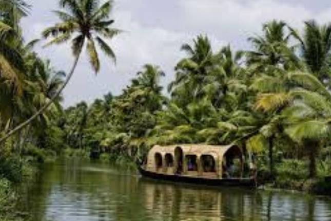 Exploring The Cultural Riches And Natural Beauty Of South India