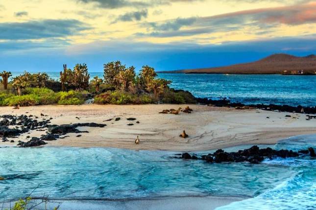 Galapagos Express - Central & West Islands aboard the Archipel I