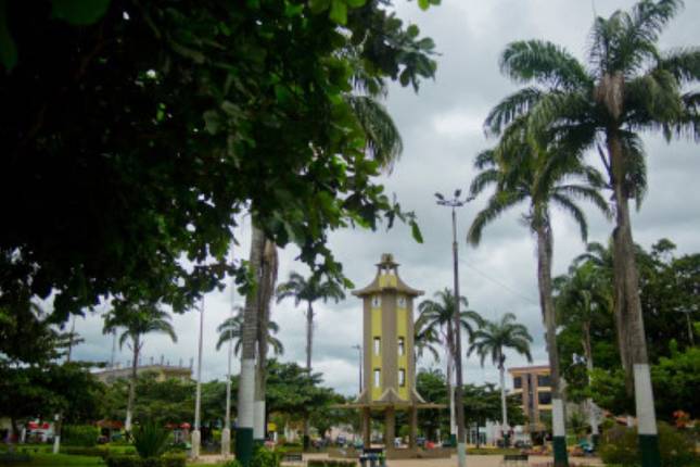 Jungle Adventures at the Posada Amazonas Lodge - Posada Amazonas Lodge