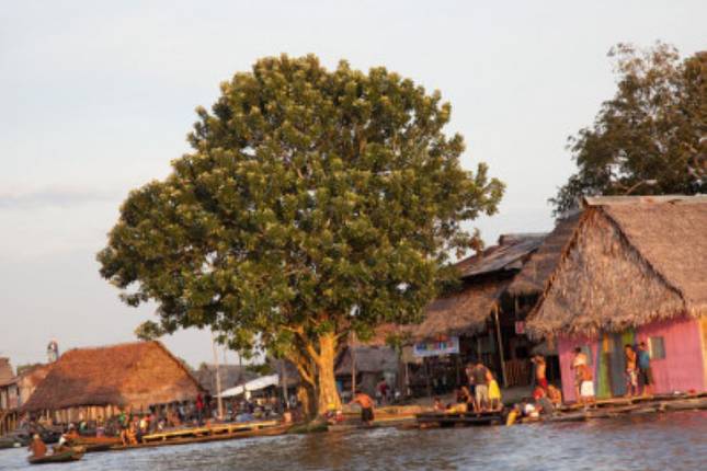 Ceiba Tops Jungle Lodge Near Iquitos