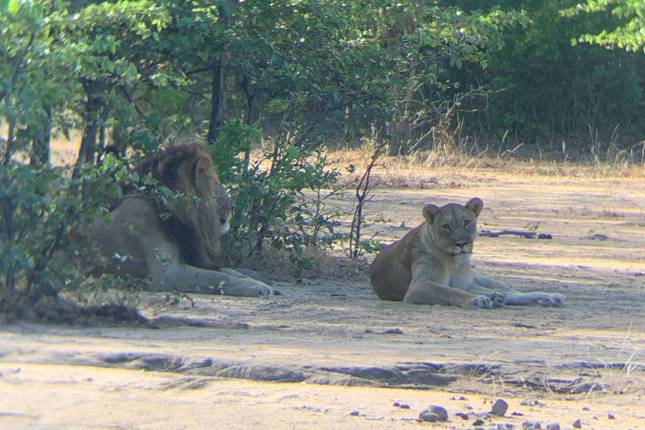Conservation safaris & Lake Malawi