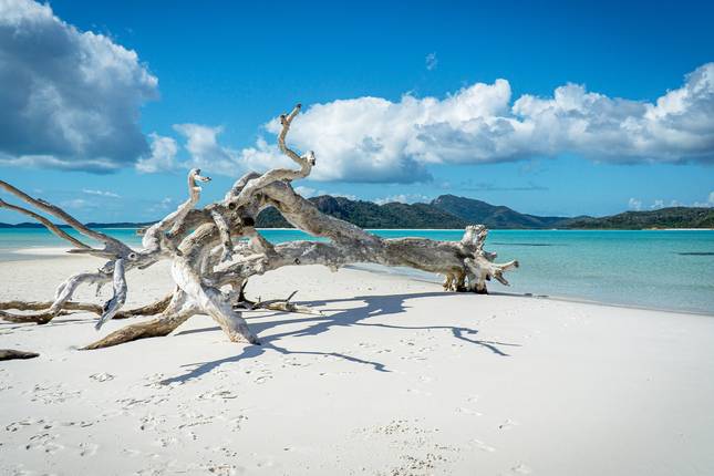 Sydney to Cairns Explorer - 14 days